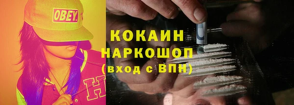 прущие крисы Балахна