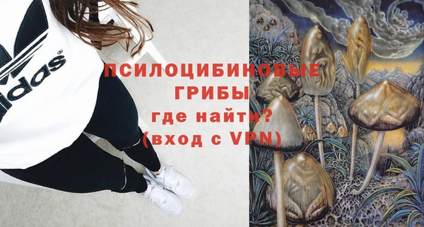 прущие крисы Балахна